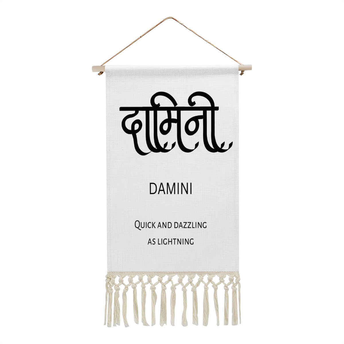 DAMINI Hindi Name Banner